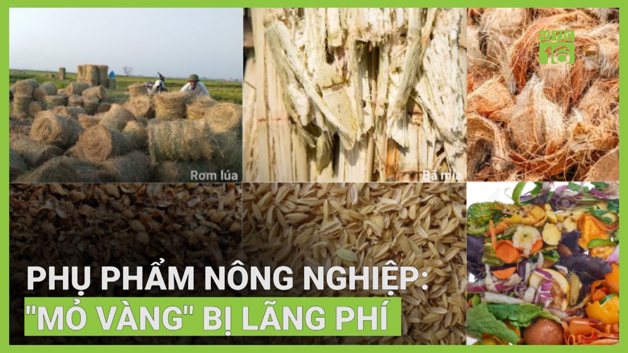 Phụ phẩm nông nghiệp làm thức ăn chăn nuôi