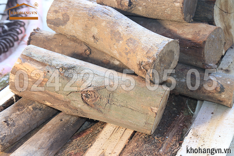 Máy băm gỗ thành mùn cưa dăm gỗ
