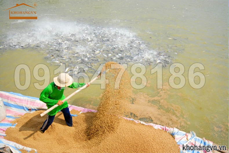 may-ep-cam-vien-noi-thuy-san